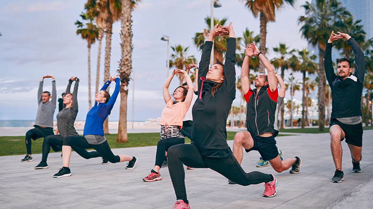 group of people doing yoga on a boardwalk in front of palm trees