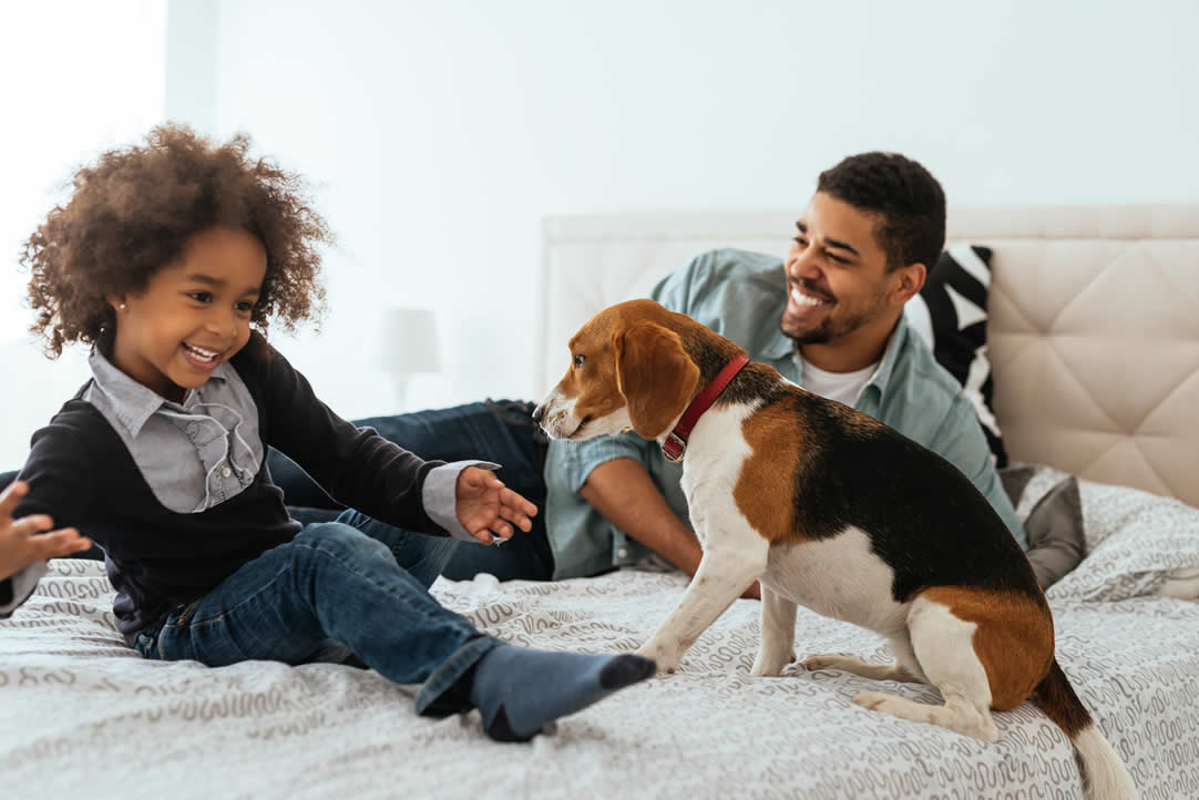father and son playing with dog