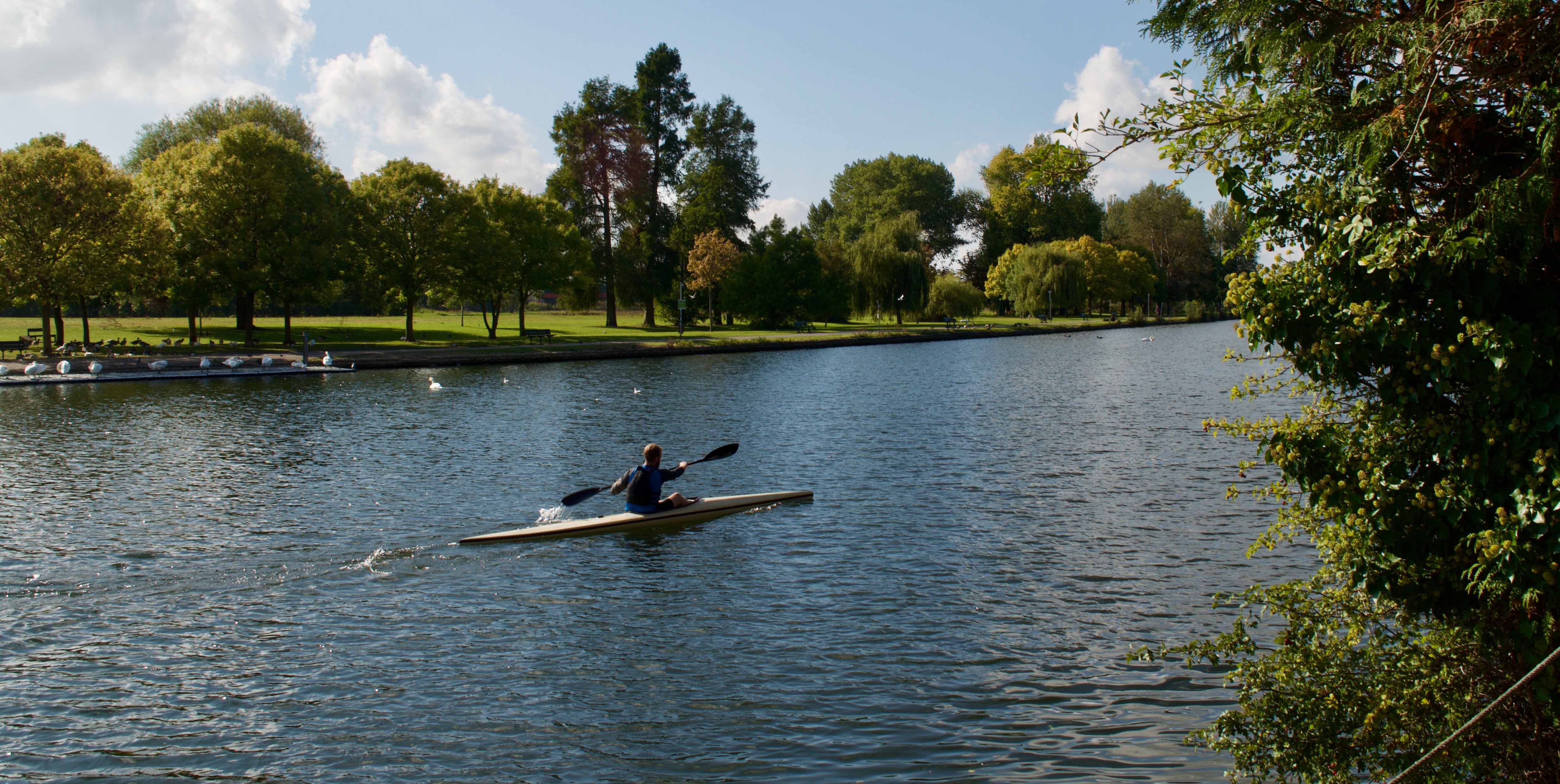 A-man-boating-on-river-thames.jpg
