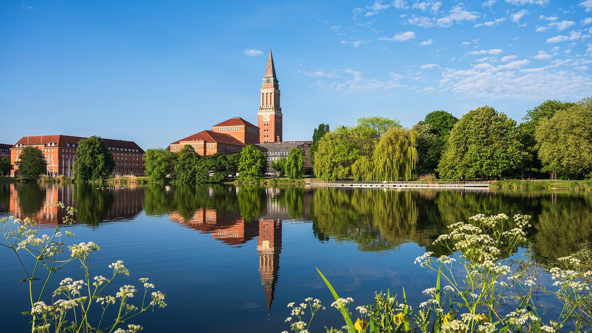 the old town hall and the opera house