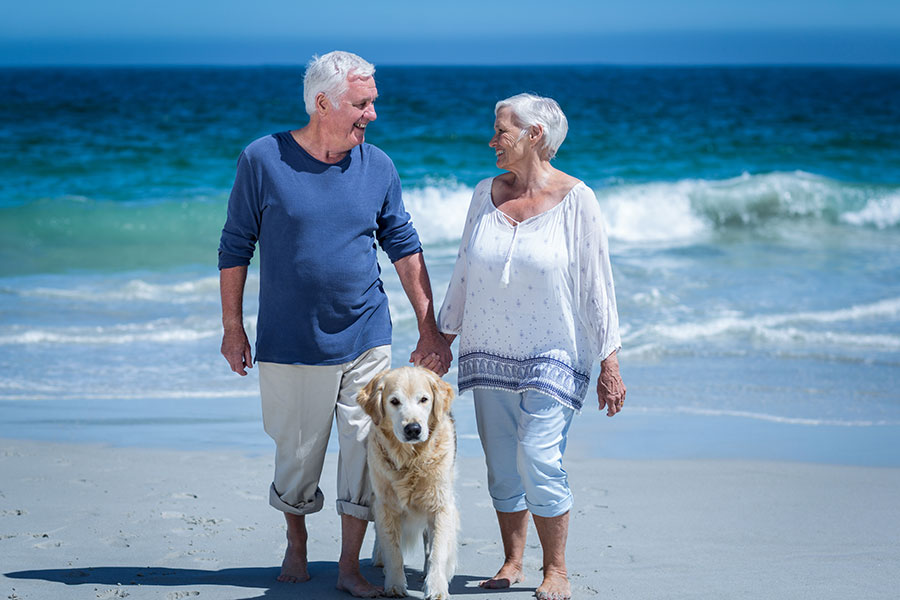 elderly couple and a dog on the beach