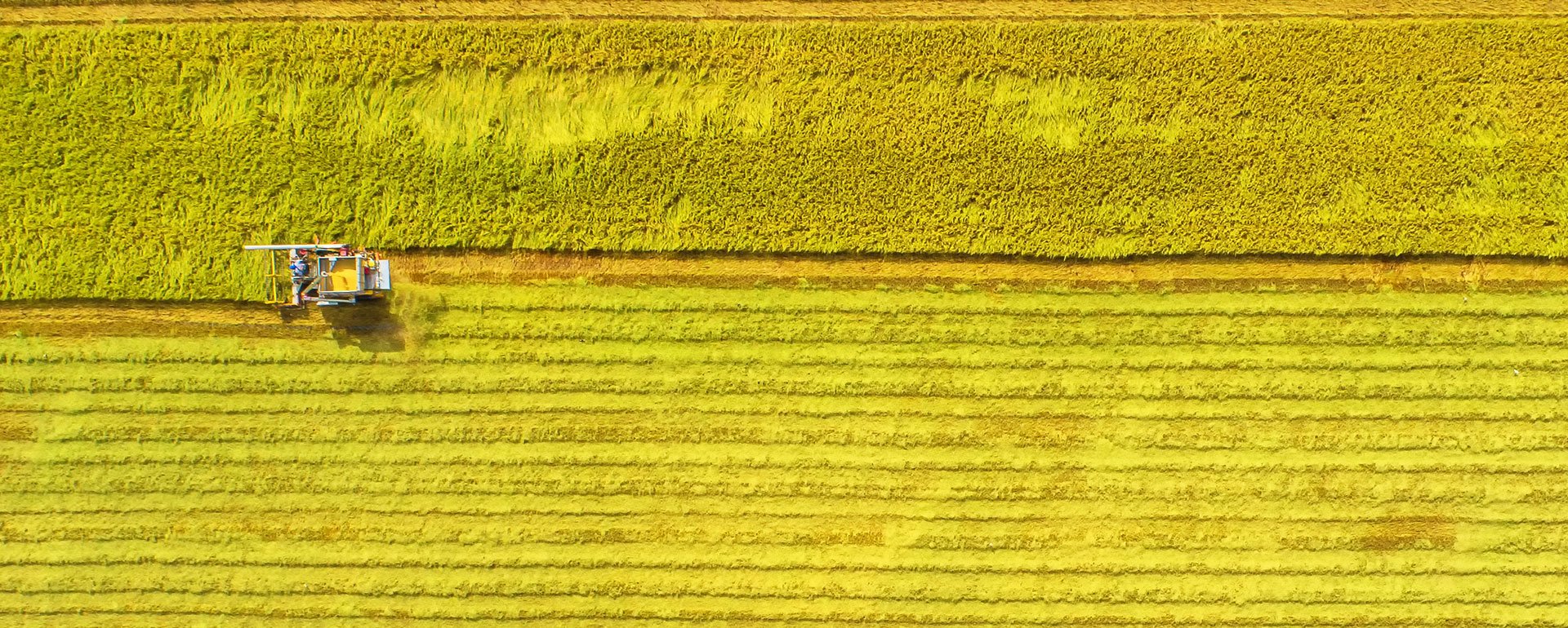 Tractor plowing fields