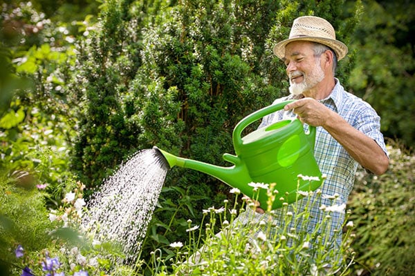 retiree watering their garden