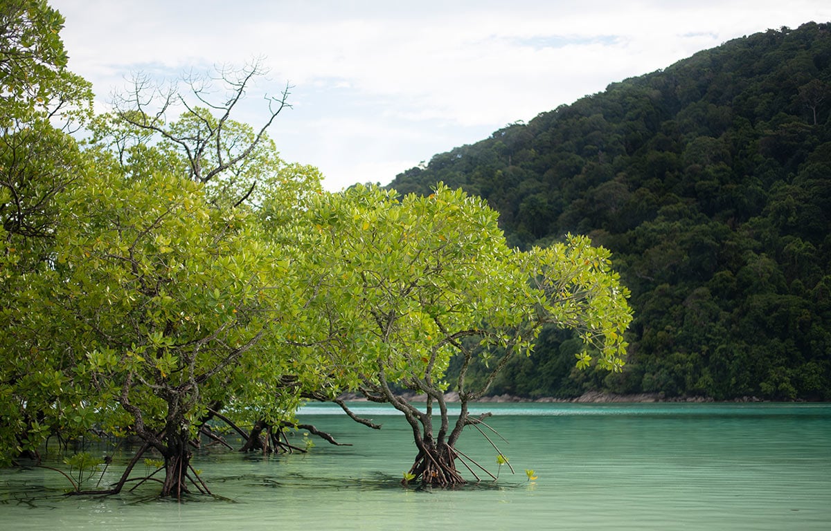 Lake landscape in Vietnam